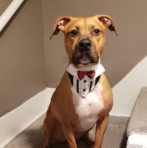 Meet your Posher, Beth